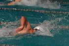 Swimming vs Babson  Wheaton College Swimming vs Babson College. - Photo By: KEITH NORDSTROM : Wheaton, Swimming, Babson